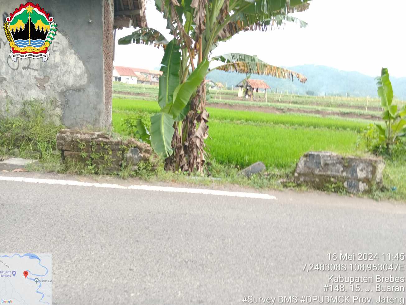 Foto Tahun 2024
